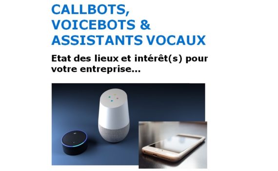 banniere Livre blanc Callbot Voicebot Assitant vocal 2