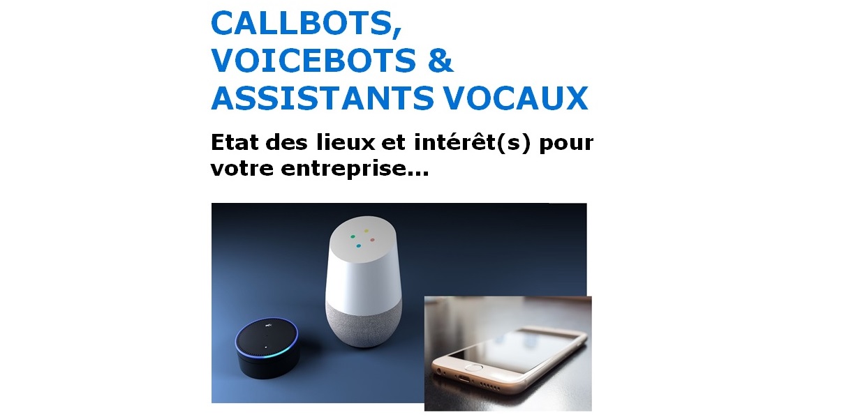 banniere Livre blanc Callbot Voicebot Assitant vocal 2