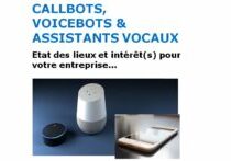banniere Livre blanc Callbot Voicebot Assitant vocal 2